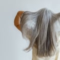 Managing Gray Hair and Hair Loss for Women 40+